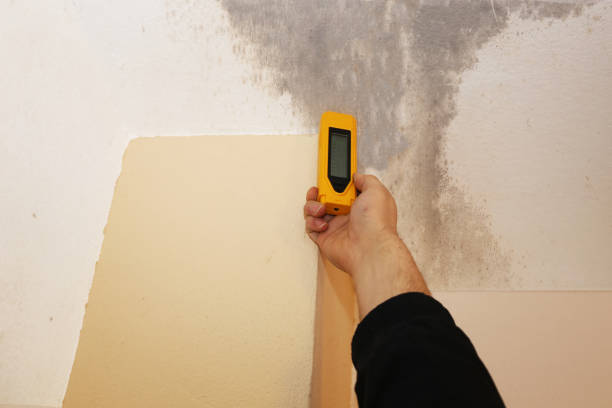 Best Mold Remediation for Vacation Homes  in Lincoln Beach, OR