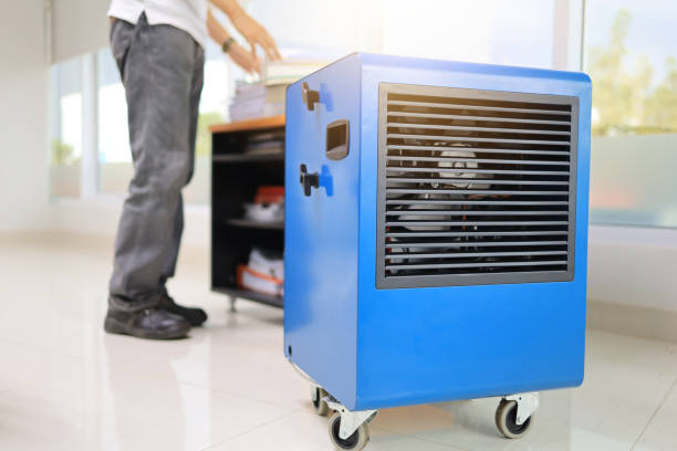 Best Mold Removal for HVAC Installations  in Lincoln Beach, OR