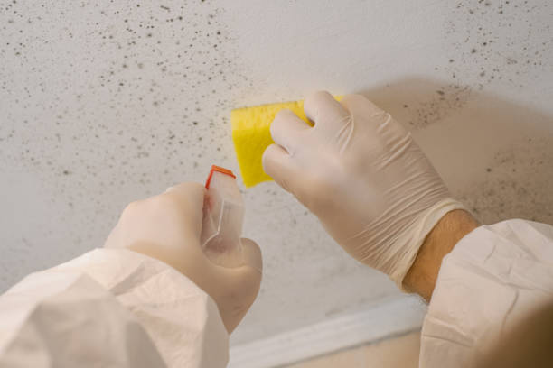 Best Real Estate Mold Inspection  in Lincoln Beach, OR